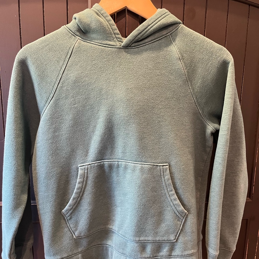 Primary Heathered Spruce  Hoodie